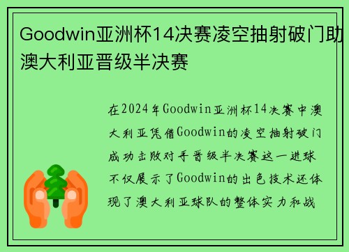 Goodwin亚洲杯14决赛凌空抽射破门助澳大利亚晋级半决赛 Goodwin亚洲杯14决赛凌空抽射破门助澳大利亚晋级半决赛